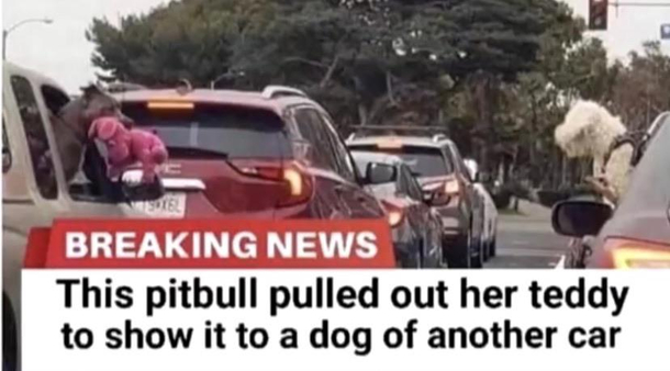 Now thats a story