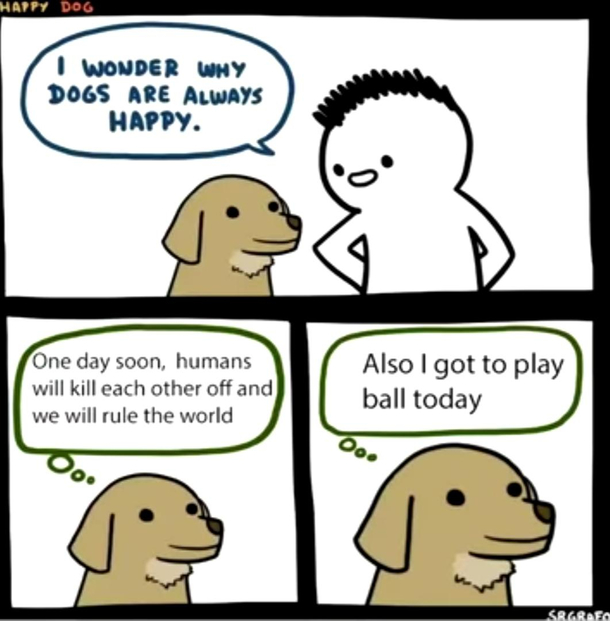 Now think what your dog would think about
