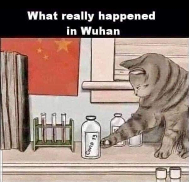 Now this I believe