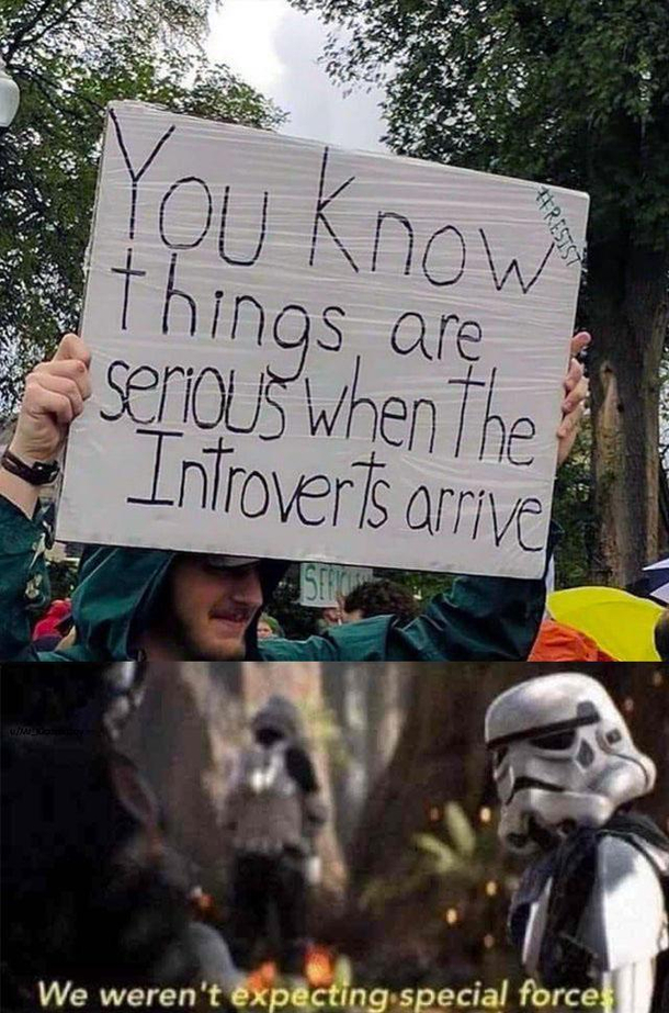 Now this is funny