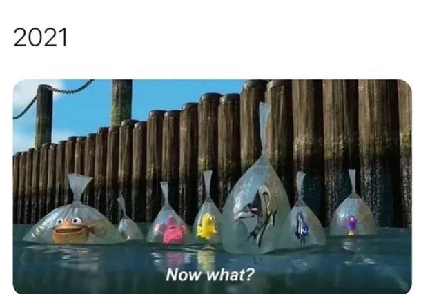 Now what