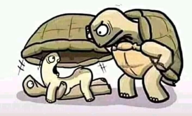 Now you know whats going on