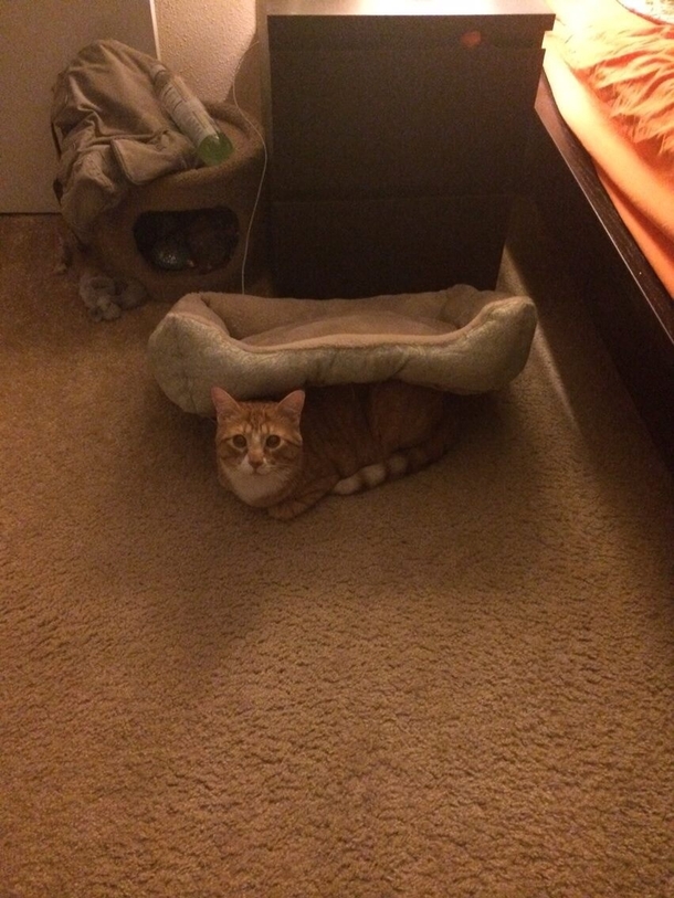 Now youre just being an asshole