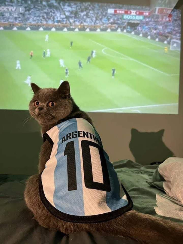 Number  fan
