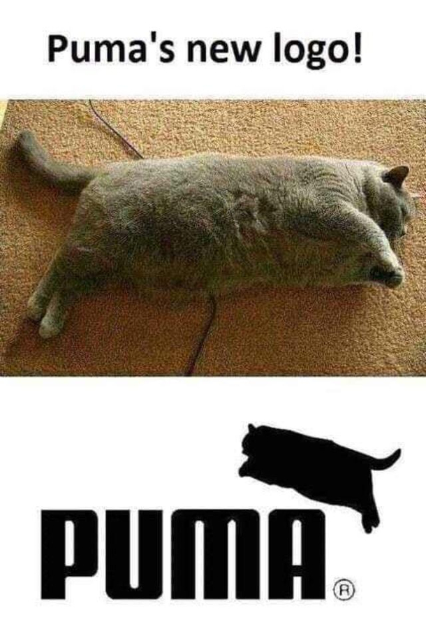 O H L A W D H E C O M I N