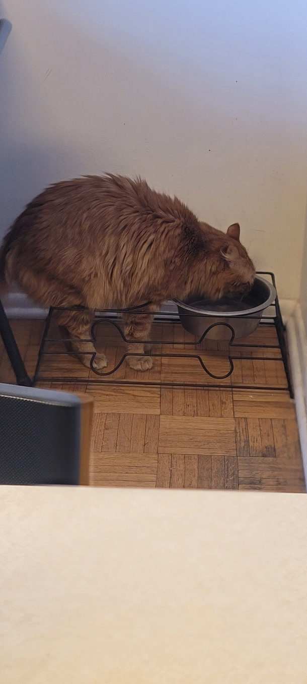 obviously the best way to drink water