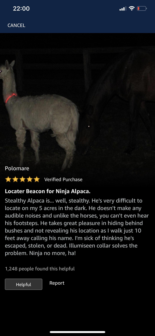 OC found last night when shopping for a LED collar for dog
