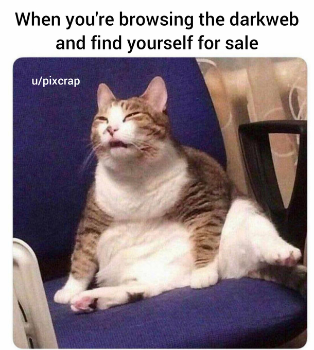 OC probably