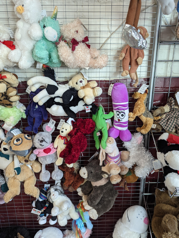 odd shaped stuffed animal at local thrift store