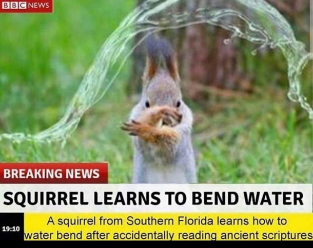 Of course it says in Florida
