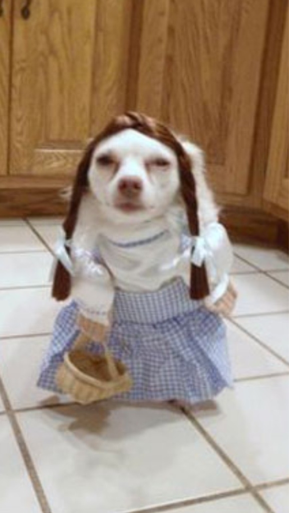Off to see the wizard