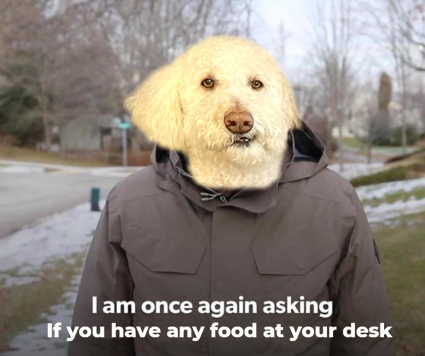 Office Doge is in Need