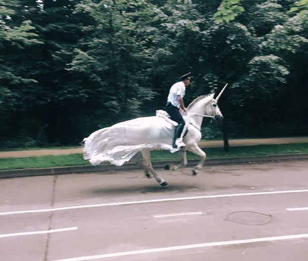 officers in poland riding unicorns