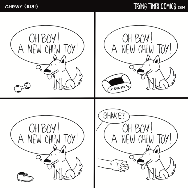 oh boy a new chew toy