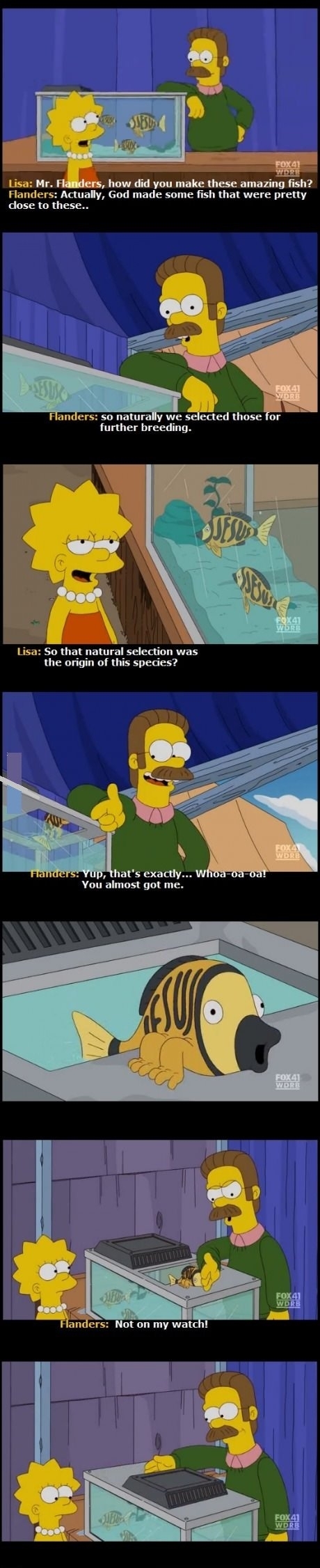 Oh Flanders