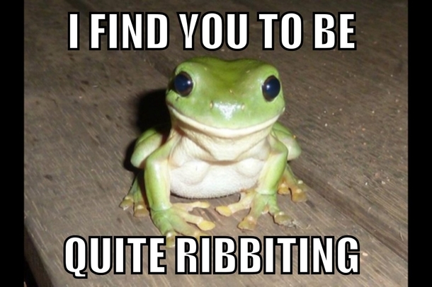 Oh frog what a charmer you are