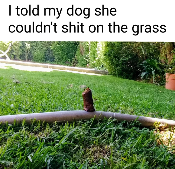 Oh god