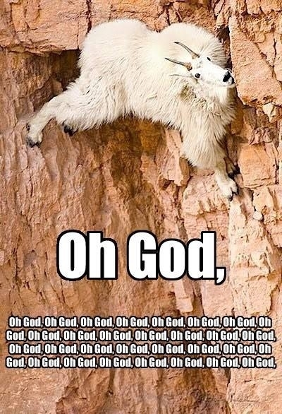 Oh god oh god oh god Oh god oh god oh god Oh god oh god oh god Oh god oh god oh god Oh god oh god oh god Oh god oh god oh god