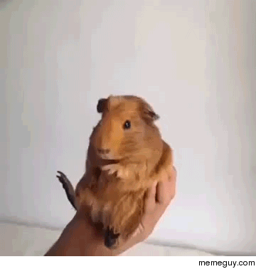 Oh god What is that