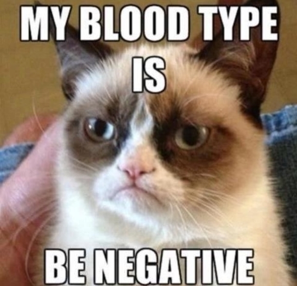 Oh grumpy cat