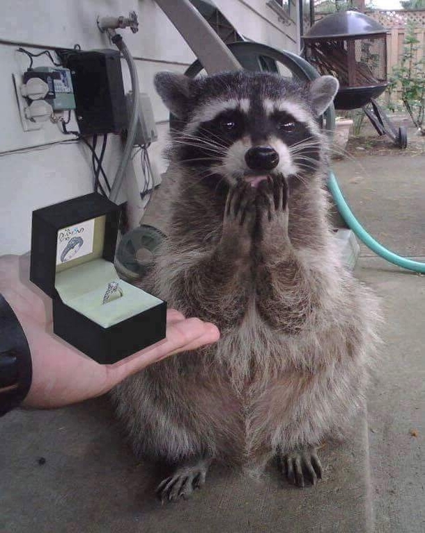 Oh He went to Jared