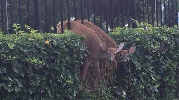 Oh hi we need a little help here if you dont mind