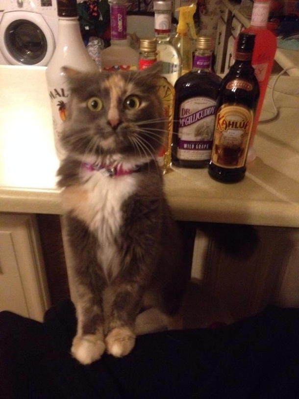 Oh hi You guys are home early