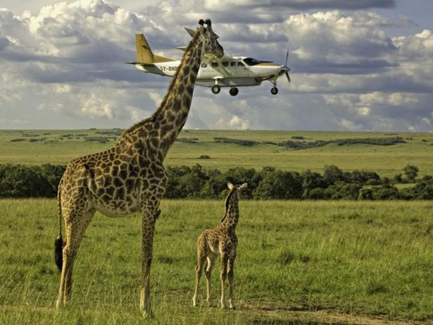 Oh I like that plane please take it for me