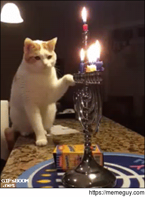 Oh It Burns