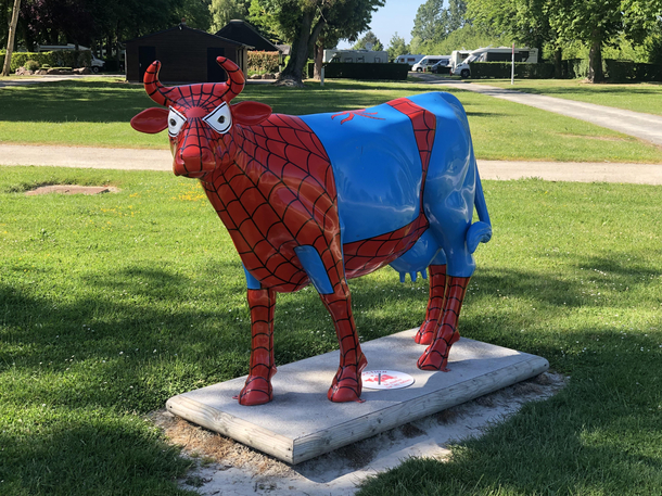 Oh its SpidermoooEven him needs to get fit