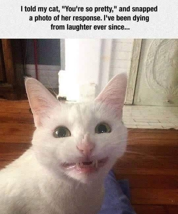 Oh Me No Psshbut thanks haha