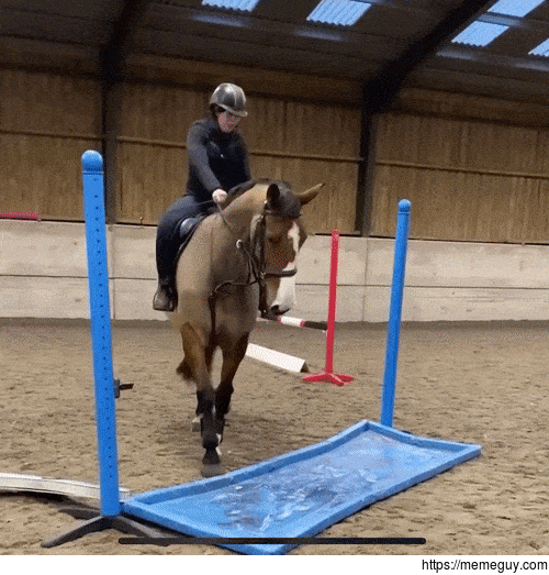 Oh Neigh