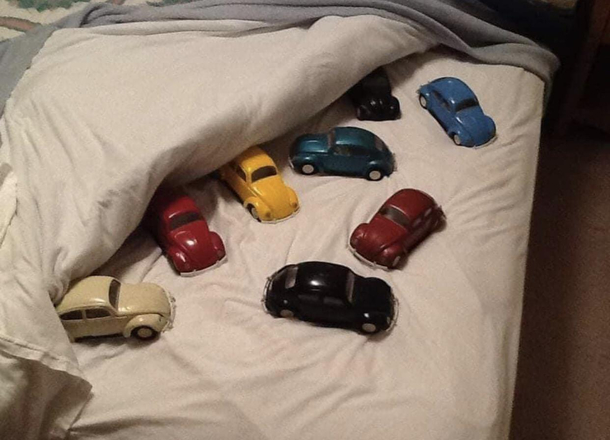 Oh no bed bugs