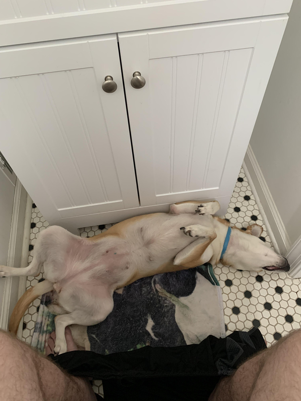 Oh no dont mind me make yourself comfortable