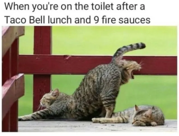 Oh no Taco Bell 