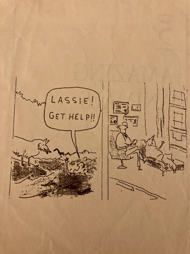 Oh noanother dog joke