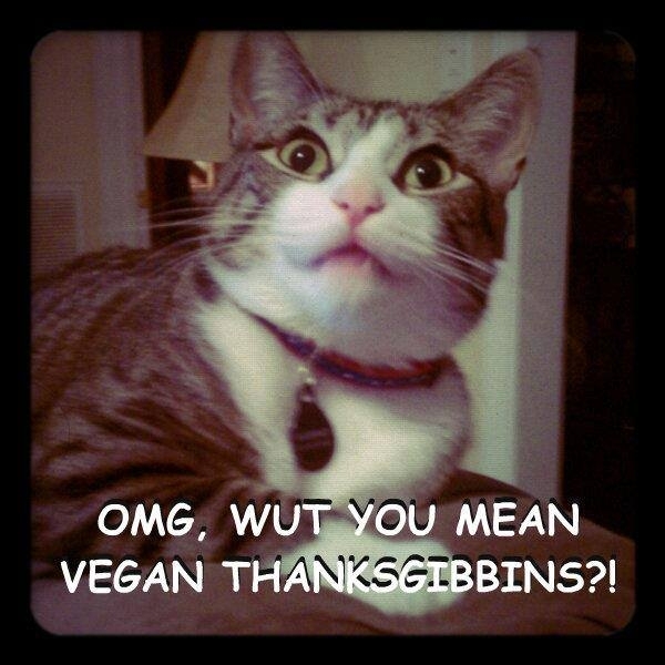 Oh Noes Not A Vegan Thanksgibbins
