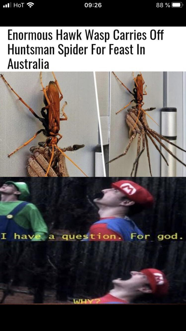 Oh nonono NO