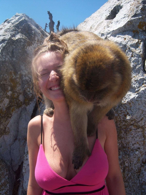 Oh so its funny when a monkey does it