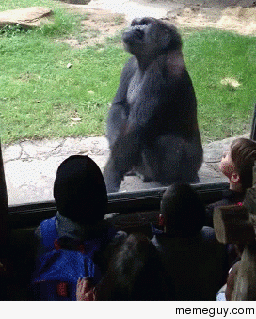 Oh so you want to challenge me from behind the glass do you