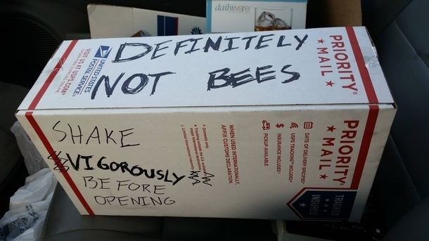 Oh thank goodness its not bees