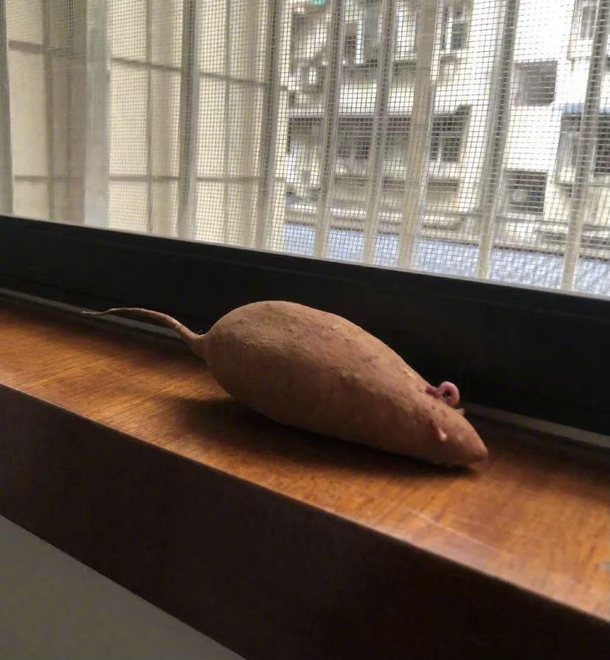 Oh thats yam