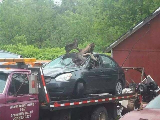 Oh The Irony