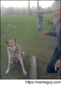 OH WELL SHIT NOW HOW THE FUCK ARE YA NAMES DOG