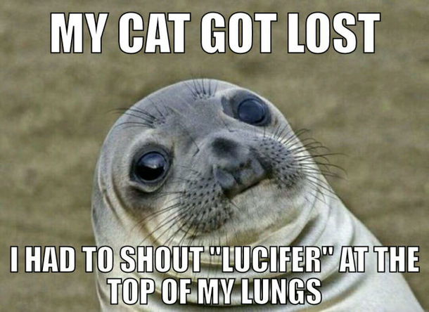 Oh well They think I am crazy anyway