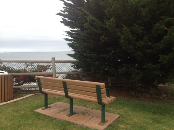 Oh What a beautiful beach Let me just sit down and stare at this fucking tree right here