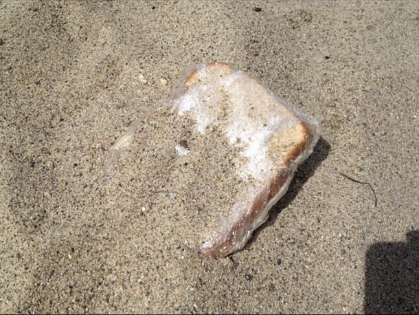 Oh wow A sandwich