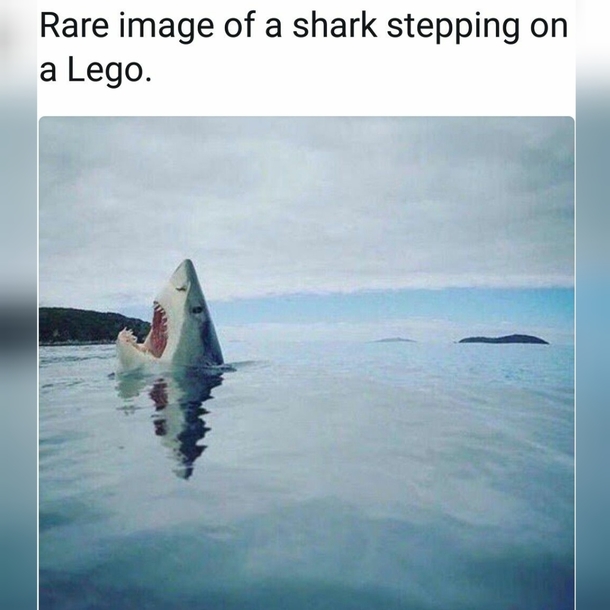 Ohh it certainly hurt