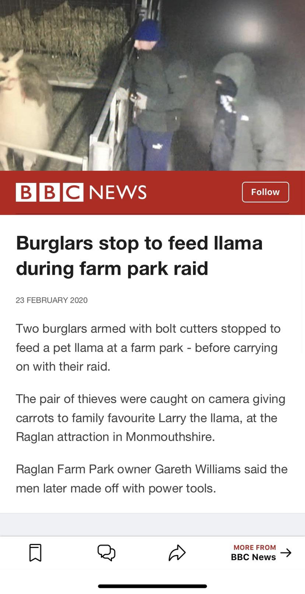 Oi grant bruv come ere theres a llama