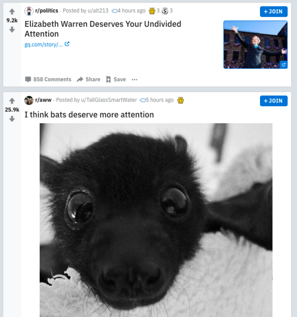 OK REDDIT PICK ONE OR THE OTHER